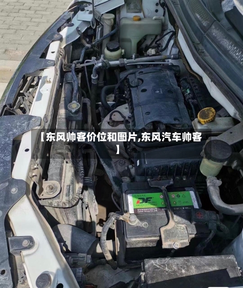 【东风帅客价位和图片,东风汽车帅客】-第1张图片