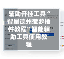 辅助开挂工具“智星德州菠萝插件教程”智能辅助工具使用教程-第1张图片