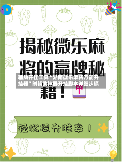 辅助开挂工具“湖南微乐麻将万能开挂器”附辅助神器开挂脚本详细步骤-第3张图片
