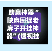 助赢神器“陕麻圈捉老麻子开挂神器”(透视挂)详细用法教程-第2张图片