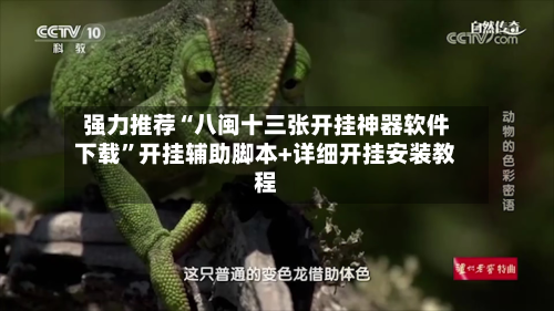 强力推荐“八闽十三张开挂神器软件下载”开挂辅助脚本+详细开挂安装教程-第1张图片