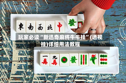 玩家必读“新迅奇麻将牛牛挂	”(透视挂)详细用法教程-第1张图片