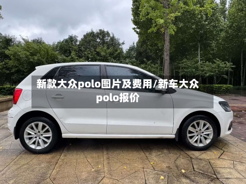 新款大众polo图片及费用/新车大众polo报价-第1张图片