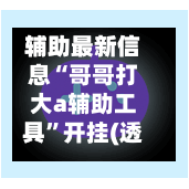 辅助最新信息“哥哥打大a辅助工具”开挂(透视)最新辅助详细-第2张图片