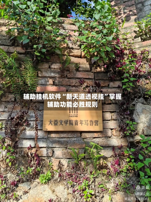 辅助挂机软件“新天道透视挂”掌握辅助功能必胜规则-第1张图片