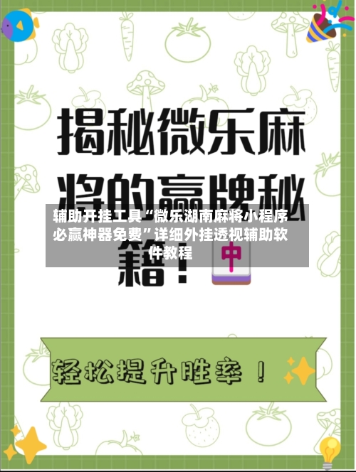 辅助开挂工具“微乐湖南麻将小程序必赢神器免费”详细外挂透视辅助软件教程-第2张图片