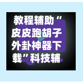 教程辅助“皮皮跑胡子外卦神器下载”科技辅助神器手机版-第3张图片