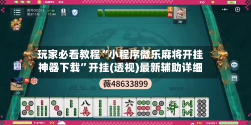 玩家必看教程“小程序微乐麻将开挂神器下载	”开挂(透视)最新辅助详细-第2张图片