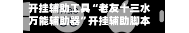 开挂辅助工具“老友十三水万能辅助器”开挂辅助脚本+详细开挂安装教程-第2张图片