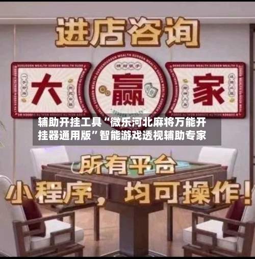 辅助开挂工具“微乐河北麻将万能开挂器通用版”智能游戏透视辅助专家-第1张图片
