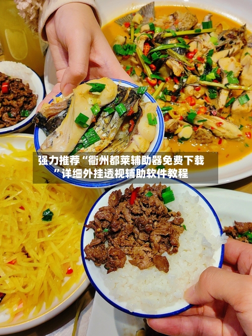 强力推荐“衢州都莱辅助器免费下载	”详细外挂透视辅助软件教程-第1张图片