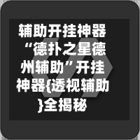 辅助开挂神器“德扑之星德州辅助	”开挂神器{透视辅助}全揭秘-第1张图片