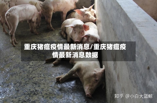 重庆猪瘟疫情最新消息/重庆猪瘟疫情最新消息数据-第1张图片