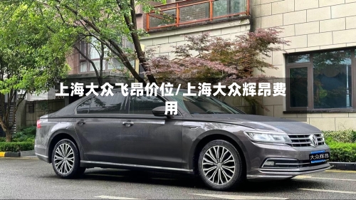 上海大众飞昂价位/上海大众辉昂费用-第1张图片