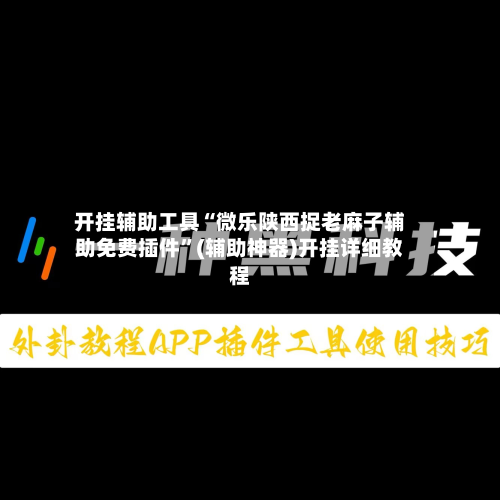 开挂辅助工具“微乐陕西捉老麻子辅助免费插件”(辅助神器)开挂详细教程-第2张图片