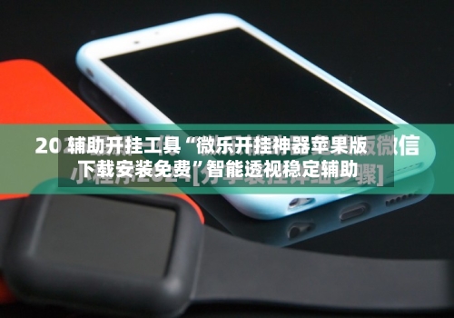 辅助开挂工具“微乐开挂神器苹果版下载安装免费”智能透视稳定辅助-第3张图片