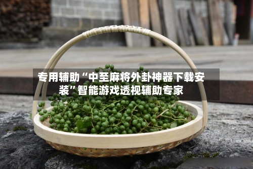 专用辅助“中至麻将外卦神器下载安装”智能游戏透视辅助专家-第1张图片