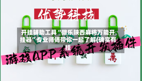 开挂辅助工具“微乐陕西麻将万能开挂器	”专业师傅带你一起了解(确实有挂-第2张图片