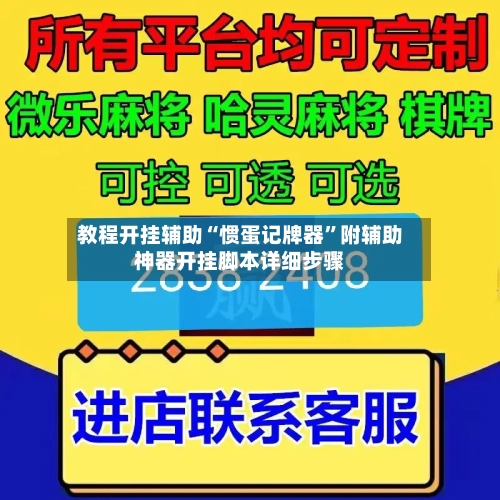教程开挂辅助“惯蛋记牌器”附辅助神器开挂脚本详细步骤-第3张图片