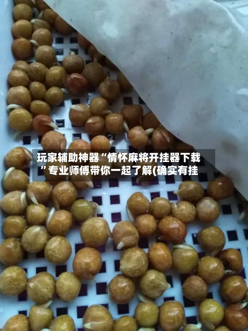 玩家辅助神器“情怀麻将开挂器下载”专业师傅带你一起了解(确实有挂-第1张图片