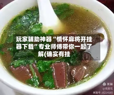 玩家辅助神器“情怀麻将开挂器下载”专业师傅带你一起了解(确实有挂-第2张图片