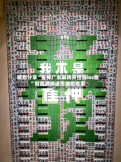 辅助分享“雀神广东麻将开挂器ios版	”智能游戏透视辅助专家-第2张图片