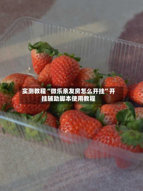 实测教程“微乐亲友房怎么开挂	”开挂辅助脚本使用教程-第1张图片