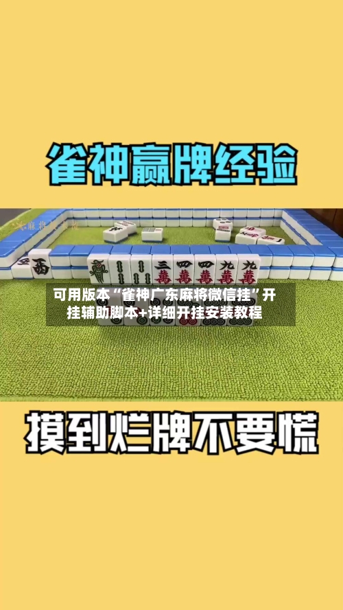 可用版本“雀神广东麻将微信挂”开挂辅助脚本+详细开挂安装教程-第1张图片