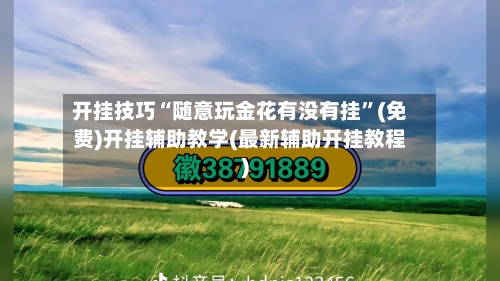 开挂技巧“随意玩金花有没有挂”(免费)开挂辅助教学(最新辅助开挂教程)-第2张图片