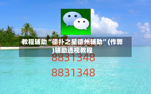 教程辅助“德扑之星德州辅助”(作弊)辅助透视教程-第2张图片