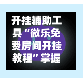 开挂辅助工具“微乐免费房间开挂教程”掌握辅助功能必胜规则-第2张图片