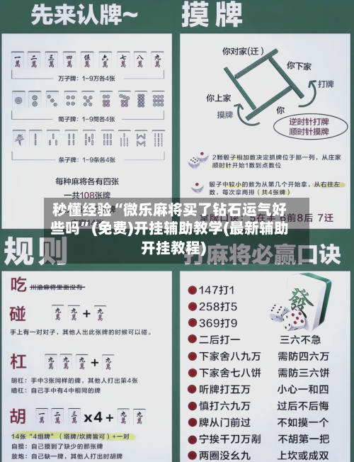 秒懂经验“微乐麻将买了钻石运气好些吗	”(免费)开挂辅助教学(最新辅助开挂教程)-第1张图片
