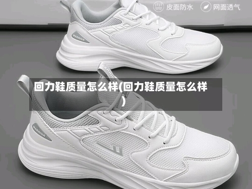 回力鞋质量怎么样(回力鞋质量怎么样)-第2张图片