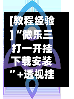 [教程经验]“微乐三打一开挂下载安装”+透视挂	”开挂辅助软件教程-第2张图片