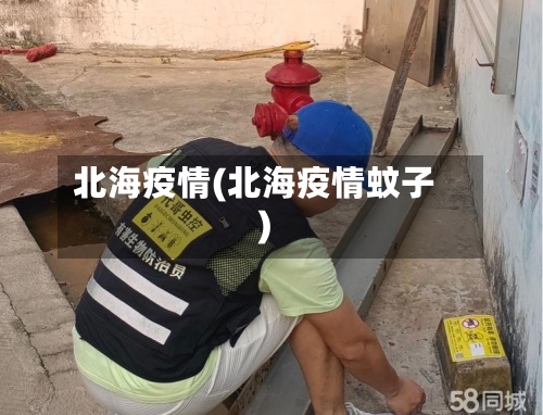 北海疫情(北海疫情蚊子)-第1张图片