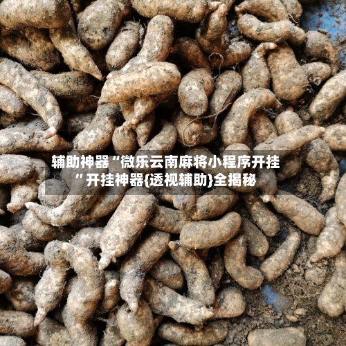 辅助神器“微乐云南麻将小程序开挂”开挂神器{透视辅助}全揭秘-第3张图片