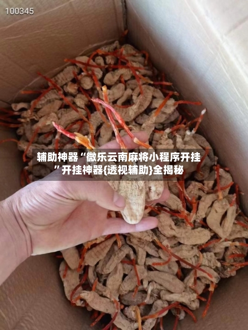 辅助神器“微乐云南麻将小程序开挂	”开挂神器{透视辅助}全揭秘-第1张图片