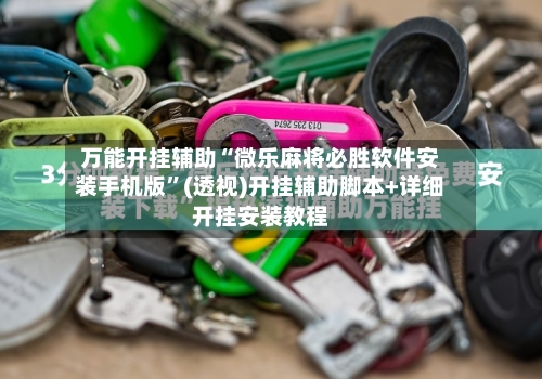 万能开挂辅助“微乐麻将必胜软件安装手机版”(透视)开挂辅助脚本+详细开挂安装教程-第2张图片