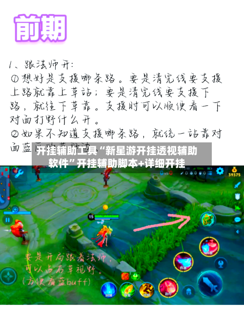 开挂辅助工具“新星游开挂透视辅助软件	”开挂辅助脚本+详细开挂-第1张图片