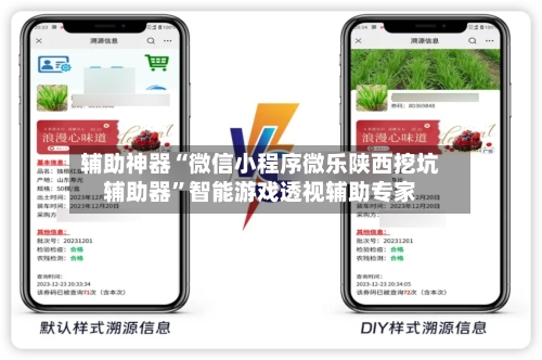 辅助神器“微信小程序微乐陕西挖坑辅助器	”智能游戏透视辅助专家-第1张图片