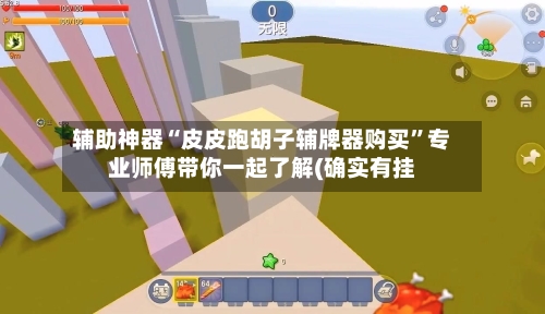 辅助神器“皮皮跑胡子辅牌器购买”专业师傅带你一起了解(确实有挂-第1张图片