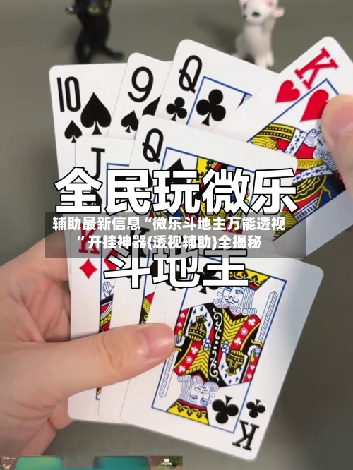 辅助最新信息“微乐斗地主万能透视	”开挂神器{透视辅助}全揭秘-第2张图片