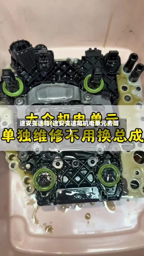途安变速箱(途安变速箱机电单元费用)-第2张图片