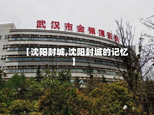 【沈阳封城,沈阳封城的记忆】-第1张图片