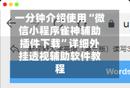一分钟介绍使用“微信小程序雀神辅助插件下载”详细外挂透视辅助软件教程-第1张图片