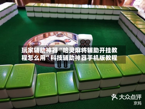 玩家辅助神器“哈灵麻将辅助开挂教程怎么用”科技辅助神器手机版教程-第2张图片