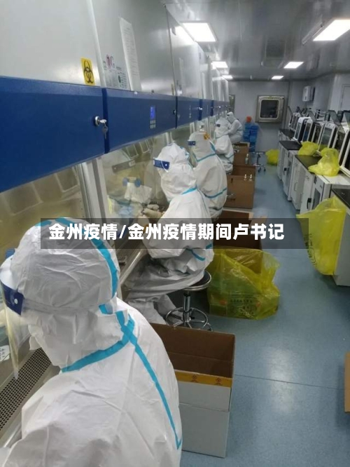 金州疫情/金州疫情期间卢书记-第1张图片