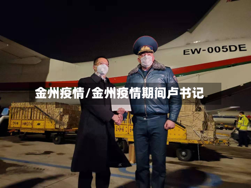 金州疫情/金州疫情期间卢书记-第2张图片