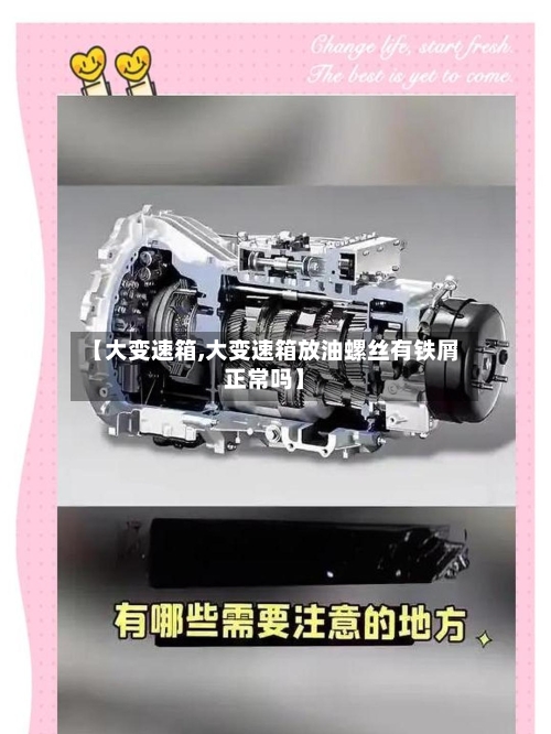 【大变速箱,大变速箱放油螺丝有铁屑正常吗】-第1张图片
