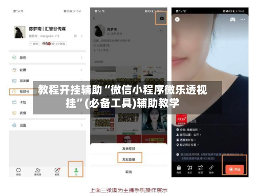 教程开挂辅助“微信小程序微乐透视挂”(必备工具)辅助教学-第2张图片